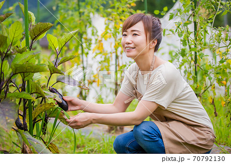 ナスを栽培する女性 70792130