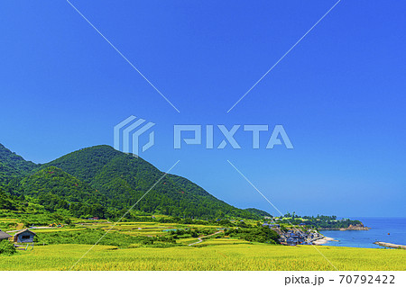 京都 袖志の棚田 京都 袖志の棚田 70792422