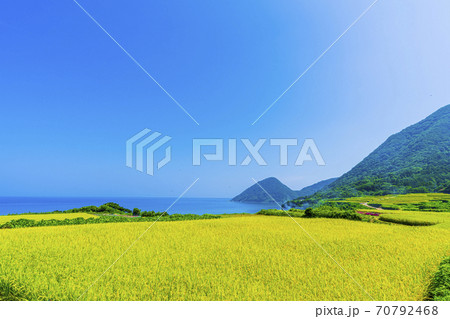 京都　袖志の棚田　 70792468