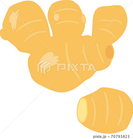 根生姜のイラスト素材