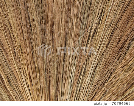 Close up of the broom grass Close up of the broom grass 70794663
