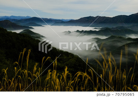 ススキと雲海（奈良県吉野郡野迫川村） 70795065