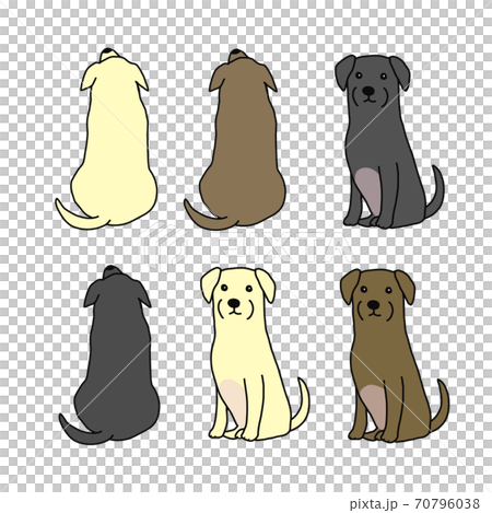 Forward And Backward Labrador Retrievers Stock Illustration