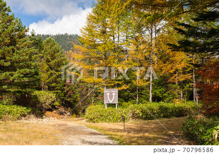 秋の乗鞍高原　三本滝入り口 70796586