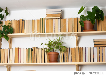 Indoor flowers on the bookshelves 70799162