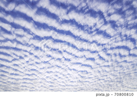 秋の空を覆い尽くすうろこ雲 70800810