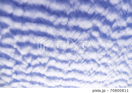 秋の空を覆い尽くすうろこ雲 秋の空を覆い尽くすうろこ雲 70800811