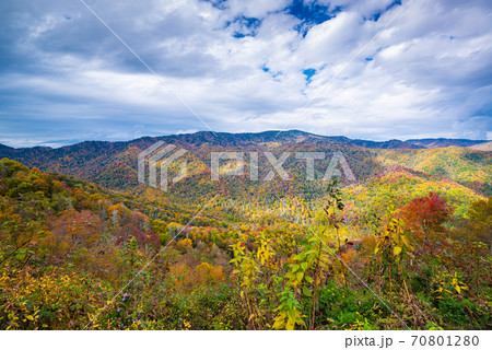 Great Smoky Mountains National Park, Tennessee, USA 70801280