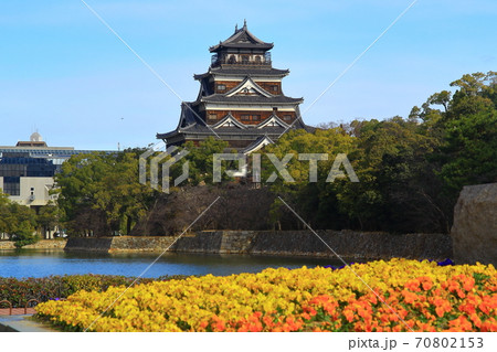 広島城（広島県広島市）にパンジーの花が咲く 70802153