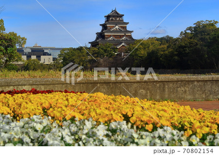 広島城(広島県広島市)にパンジーの花が咲く 広島城(広島県広島市)にパンジーの花が咲く 70802154