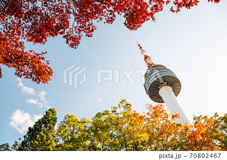 Namsan Seoul Tower with autumn maple leaves in Korea Namsan Seoul Tower with autumn maple leaves in Korea 70802467