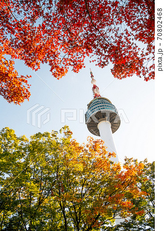 Namsan Seoul Tower with autumn maple leaves in Korea Namsan Seoul Tower with autumn maple leaves in Korea 70802468