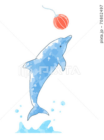 Illustration Of A Dolphin Show With A Gentle Touch Stock Illustration