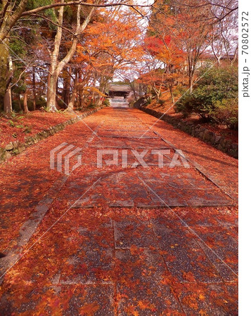 京都　紅葉 70802572