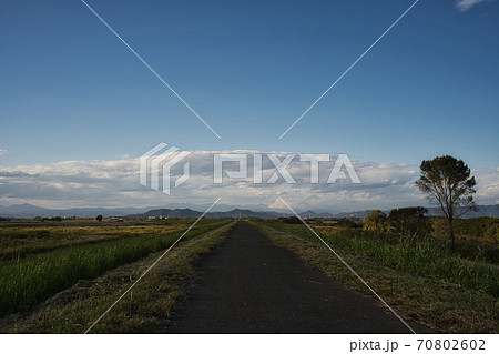 遠くに行きたくなる道、渡良瀬川のあぜ道 70802602