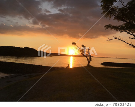 ビーチでのサンセット ビーチでのサンセット 70803425