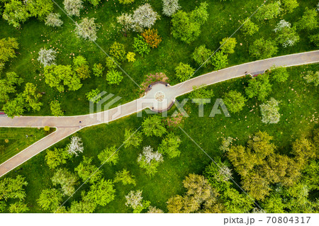 View from the height of the loshitsky Park in Minsk.Winding paths in loshitsky Park.Belarus.Apple orchard 70804317