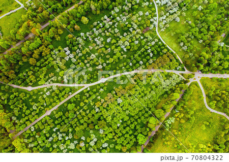 View from the height of the loshitsky Park in Minsk.Winding paths in loshitsky Park.Belarus.Apple orchard View from the height of the loshitsky Park in Minsk.Winding paths in loshitsky Park.Belarus.Apple orchard 70804322