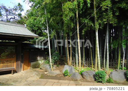 10月　世田谷296粕谷二丁目･本橋家の竹林 70805221