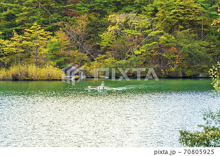 秋の毘沙門沼（五色沼）の風景　ボートを漕ぐ男性　福島県北塩原村 70805925