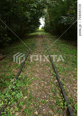 廃線線路 廃線線路 70806530