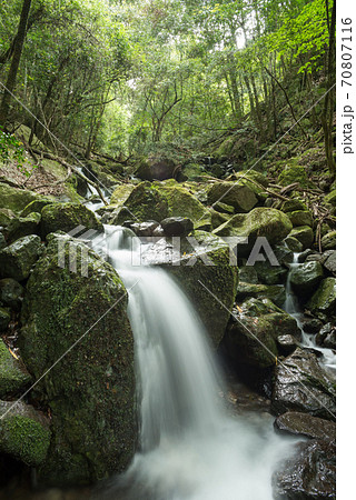 森の中の苔むした石の段差を流れる清流 森の中の苔むした石の段差を流れる清流 70807116