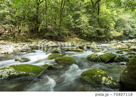 緑の森をバックに苔むした石と川の流れ 70807118