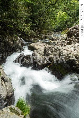 緑の森をバックに岩盤の間を流れる川の写真素材