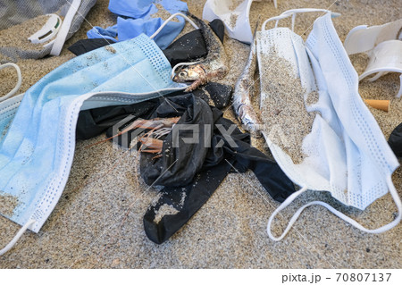Dead anchovies fish on plastic polluted sandy seacoast,medical waste pollution 70807137
