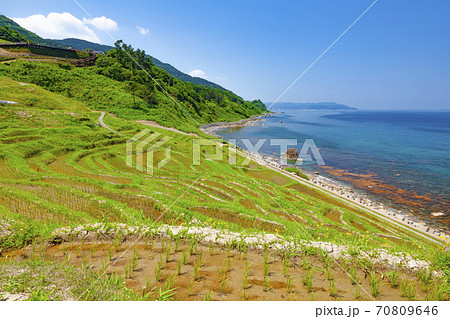 能登半島の白米千枚田　石川県輪島市白米町にて 70809646