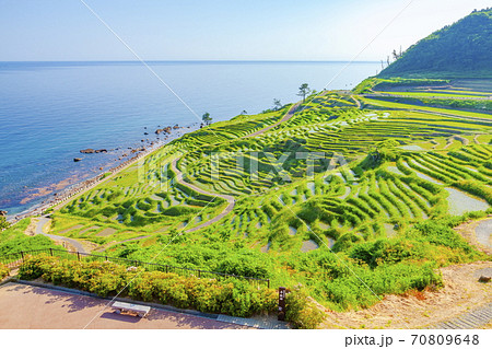 能登半島の白米千枚田　石川県輪島市白米町にて 70809648