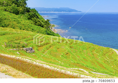能登半島の白米千枚田 石川県輪島市白米町にて 能登半島の白米千枚田 石川県輪島市白米町にて 70809653