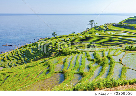 能登半島の白米千枚田　石川県輪島市白米町にて 70809656