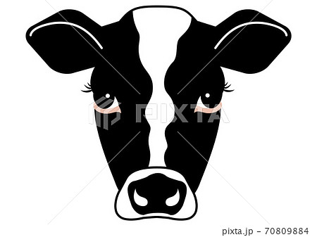 正面から見た牛の顔のイラスト素材