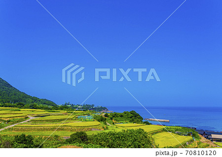 京都　袖志の棚田　 70810120