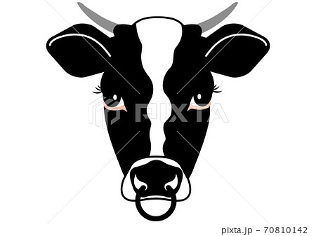 正面から見た角のある牛の顔 鼻輪 のイラスト素材