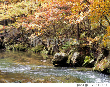 秋の奥日光・湯川の紅葉 秋の奥日光・湯川の紅葉 70810723