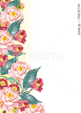 Camellia And Peony Flowers Watercolor Stock Illustration