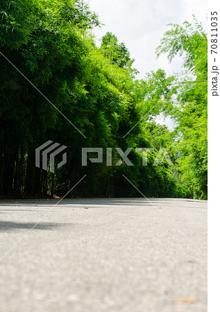 Tunnel of green bamboo forest sideways road 70811035