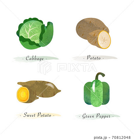 Watercolor healthy nature organic plant vegetable food ingredient cabbage potato sweet potato green pepper Watercolor healthy nature organic plant vegetable food ingredient cabbage potato sweet potato green pepper 70812048