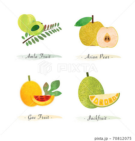 Organic nature healthy food fruit amla fruit asian pear gac fruit jackfruit 70812075