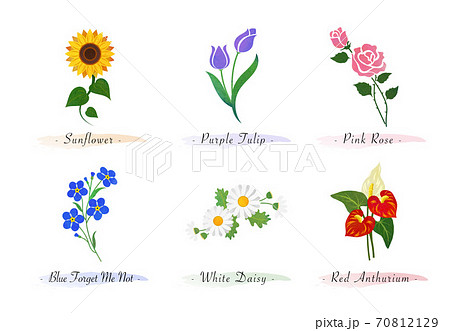 Watercolor Botanic Garden Nature Plant Flower ã®ã¤ã©ã¹ãç´ æ 70812129 Pixta