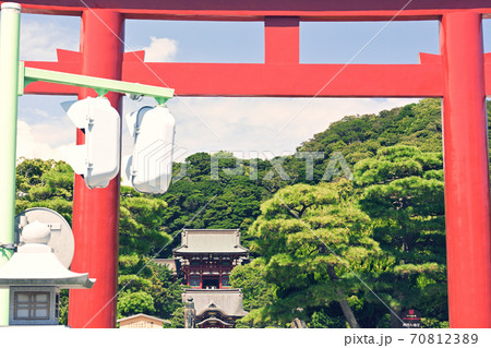 鎌倉・鶴岡八幡宮 70812389