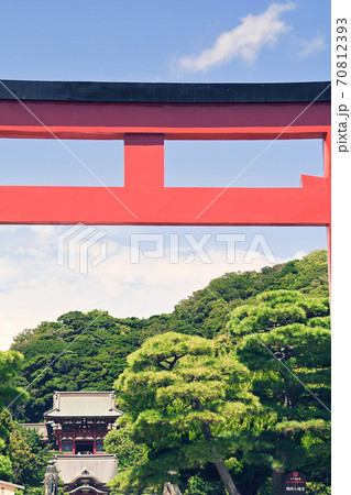 鎌倉・鶴岡八幡宮 鎌倉・鶴岡八幡宮 70812393