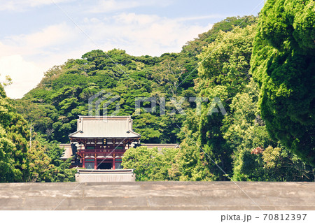 鎌倉・鶴岡八幡宮 70812397