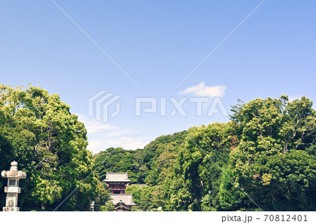鎌倉・鶴岡八幡宮 70812401