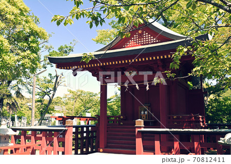 鎌倉・鶴岡八幡宮 70812411