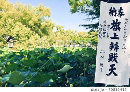 鎌倉・鶴岡八幡宮 70812412