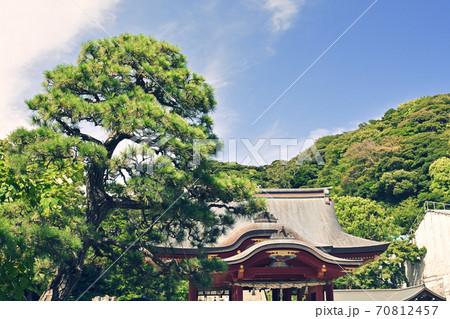 鎌倉・鶴岡八幡宮 70812457