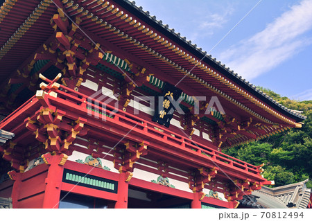 鎌倉・鶴岡八幡宮 70812494